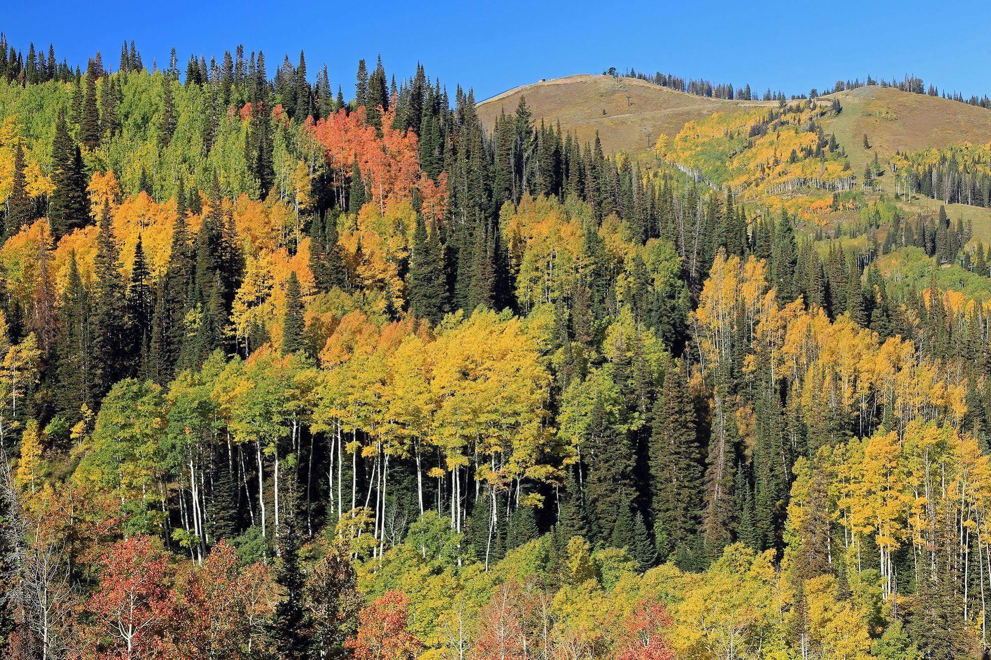Raintree'S The Miners Club Park City Esterno foto